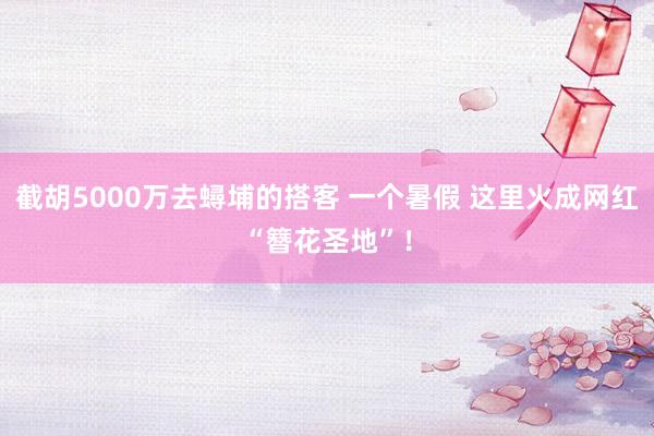 截胡5000万去蟳埔的搭客 一个暑假 这里火成网红“簪花圣地”！