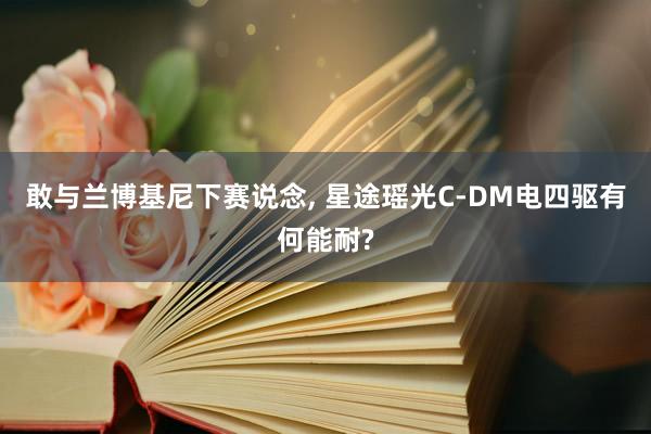 敢与兰博基尼下赛说念, 星途瑶光C-DM电四驱有何能耐?