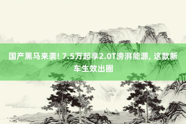 国产黑马来袭! 7.5万起享2.0T滂湃能源, 这款新车生效出圈