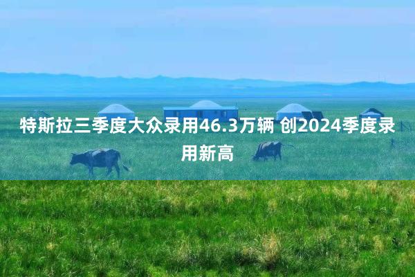 特斯拉三季度大众录用46.3万辆 创2024季度录用新高