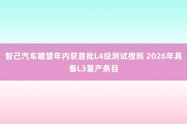 智己汽车瞻望年内获首批L4级测试捏照 2026年具备L3量产条目