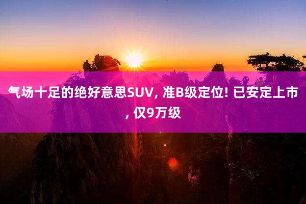 气场十足的绝好意思SUV, 准B级定位! 已安定上市, 仅9万级