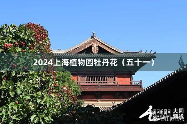 2024上海植物园牡丹花（五十一）