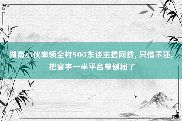 湖南小伙率领全村500东谈主撸网贷, 只借不还, 把寰宇一半平台整倒闭了